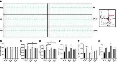 Occlusion preconditioned mice are resilient to hypobaric hypoxia-induced myocarditis and arrhythmias due to enhanced immunomodulation, metabolic homeostasis, and antioxidants defense